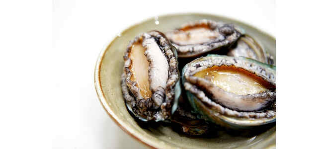  abalone