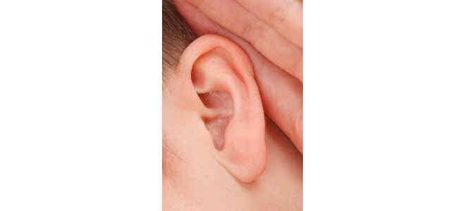 ear