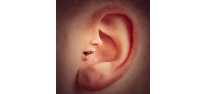 ear